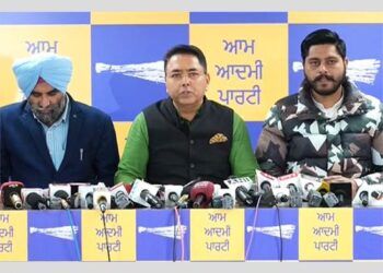 MC Elections: AAP ਪੰਜਾਬ ਵੱਲੋਂ 784 ਉਮੀਦਵਾਰਾਂ ਦਾ ਐਲਾਨ