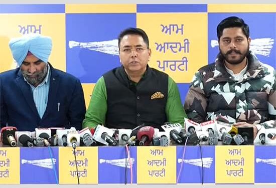 MC Elections: AAP ਪੰਜਾਬ ਵੱਲੋਂ 784 ਉਮੀਦਵਾਰਾਂ ਦਾ ਐਲਾਨ