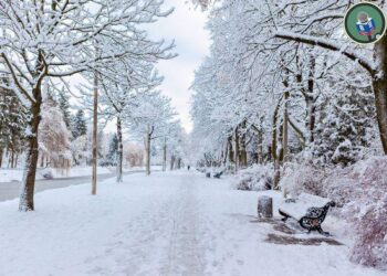 ਹਿਮਾਚਲ ‘ਚ ਕੜਾਕੇ ਦੀ ਠੰਢ, ਜੰਮੂ-ਕਸ਼ਮੀਰ ‘ਚ ਪਾਰਾ 0 ਤੋਂ ਹੇਠਾਂ