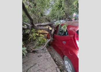 ਚੰਡੀਗੜ੍ਹ ਵਿੱਚ ਭਾਰੀ ਮੀਂਹ ਕਾਰਨ ਸੜਕਾਂ ‘ਤੇ ਡਿੱਗੇ ਕਈ ਦਰੱਖਤ – ਲੋਕ ਵਾਲ-ਵਾਲ ਬਚੇ