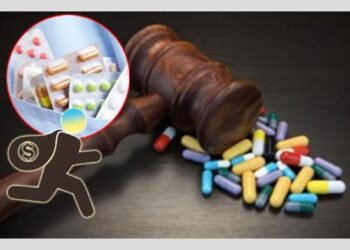 New Zealand: ਕੀ ਸਿੱਖਿਆ? ਚਾਰ ਸਾਲ ਪੜ੍ਹਾਈ-ਚਾਰ ਸਾਲ ਚੋਰੀ