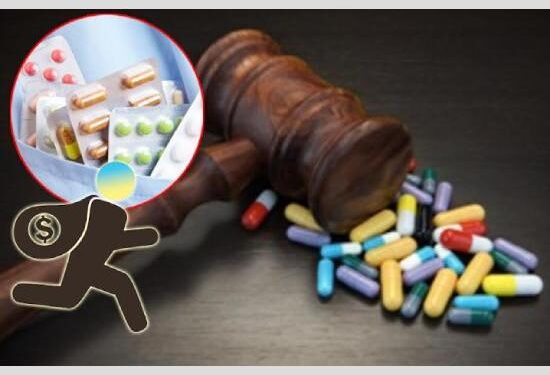 New Zealand: ਕੀ ਸਿੱਖਿਆ? ਚਾਰ ਸਾਲ ਪੜ੍ਹਾਈ-ਚਾਰ ਸਾਲ ਚੋਰੀ