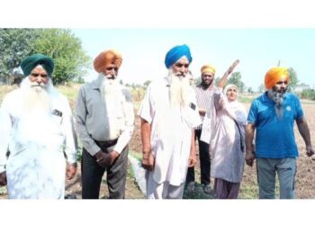 ਚਾਰ ਦਿਨ ਬਿਜਲੀ ਰਹੀ ਬੰਦ,ਝੋਨੇ ਦੀ ਪਨੀਰੀ ਬਚਾਉਣ ਲਈ ਕਿਸਾਨਾਂ ਨੇ ਬਾਲਟੀਆਂ ਭਰ ਭਰ ਦਿੱਤਾ ਪਾਣੀ