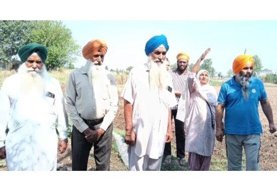 ਚਾਰ ਦਿਨ ਬਿਜਲੀ ਰਹੀ ਬੰਦ,ਝੋਨੇ ਦੀ ਪਨੀਰੀ ਬਚਾਉਣ ਲਈ ਕਿਸਾਨਾਂ ਨੇ ਬਾਲਟੀਆਂ ਭਰ ਭਰ ਦਿੱਤਾ ਪਾਣੀ