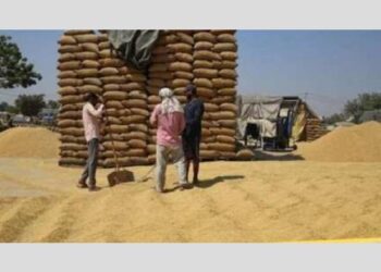 ਪੰਜਾਬ ਸਰਕਾਰ ਨੇ ਲਿਆ ਵੱਡਾ ਫੈਸਲਾ, ਮੰਡੀ ਮਜ਼ਦੂਰਾਂ ਲਈ ਕੀਤਾ ਇਹ ਵੱਡਾ ਐਲਾਨ