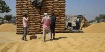 ਪੰਜਾਬ ਸਰਕਾਰ ਨੇ ਲਿਆ ਵੱਡਾ ਫੈਸਲਾ, ਮੰਡੀ ਮਜ਼ਦੂਰਾਂ ਲਈ ਕੀਤਾ ਇਹ ਵੱਡਾ ਐਲਾਨ