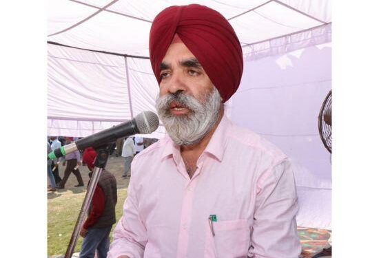 ਕਿਸਾਨ ਝੋਨੇ ਦੀ ਫ਼ਸਲ ਦੀ ਕਟਾਈ ਪੂਰੀ ਤਰਾਂ ਪੱਕਣ ‘ਤੇ ਹੀ ਕਰਵਾਉਣ : ਮੁੱਖ ਖੇਤੀਬਾੜੀ ਅਫ਼ਸਰ