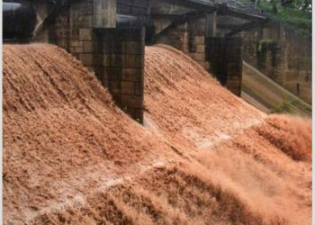Chandigarh : ਖੋਲ੍ਹ ਦਿੱਤੇ Sukhna Lake ਦੇ Flood Gate, ਪਾਣੀ ਖ਼ਤਰੇ ਦੇ ਨਿਸ਼ਾਨ ਤੋਂ ਪਾਰ! ਟੁੱਟ ਗਿਆ ਪੁਲ